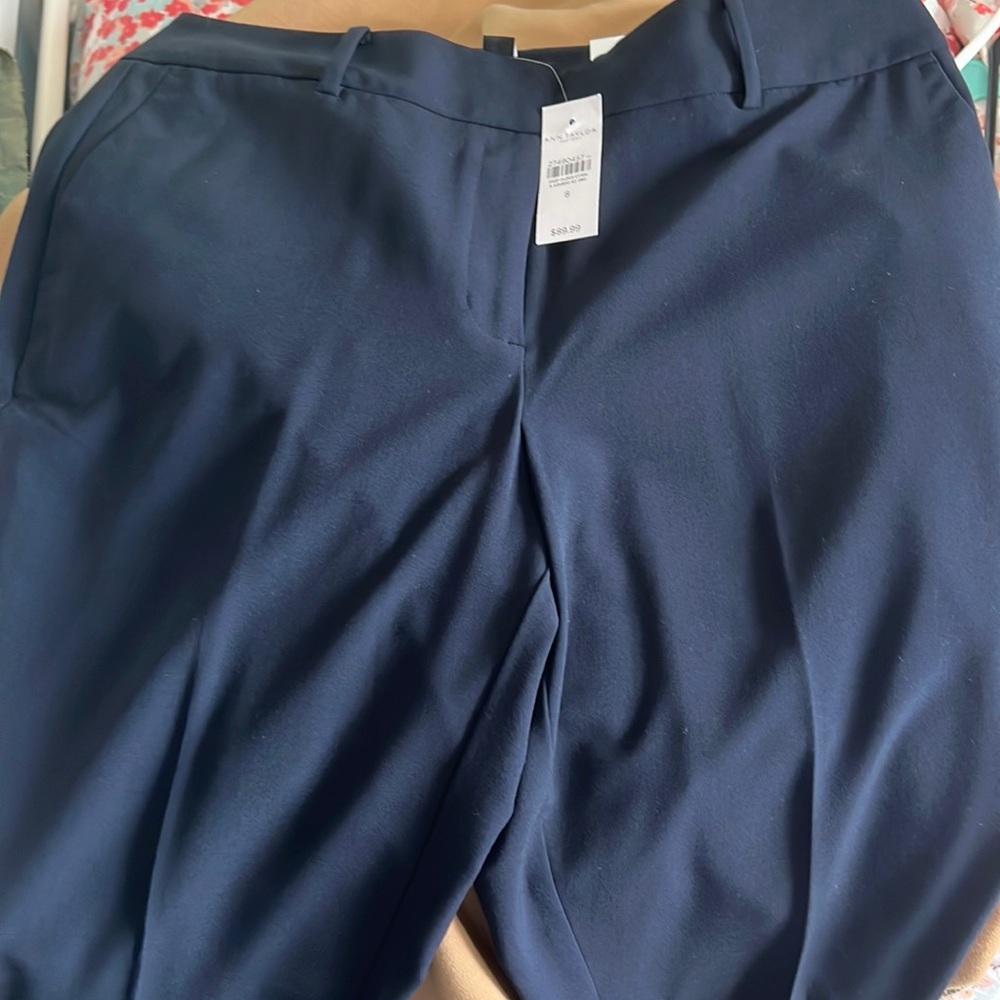 Ann Taylor Trouser